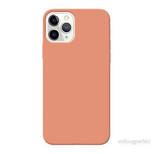 Fresnour Lämplig för iPhone 11 Pro 5,8 tums fodral, stötfångarskydd, transparent reptålig baksida (begonia färg) 713547470747