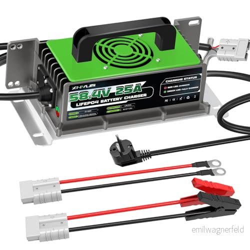 58,4 V 25 A LiFePO4 batteriladdare för uppladdningsbara batterier med 48 litium och järnfosfat (51,2 V) 727370974815