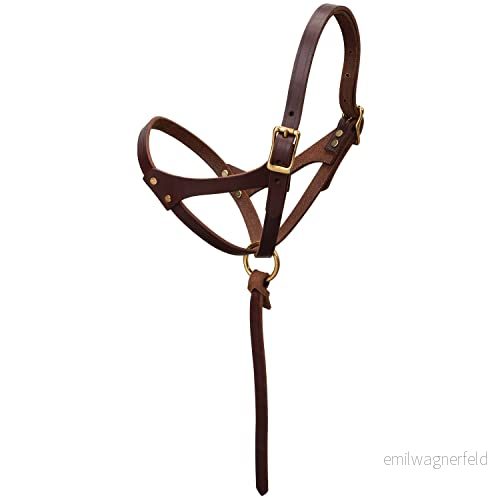 Väv läderfigur 8 föl grimma 5/8 tum sugande, oljad Canyon Rose 399145498