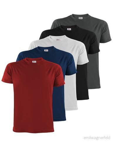 ALPIDEX t shirts för män 5 pack med rund hals, vanliga storlekar S M L XL XXL 3XL 4XL 5XL, Storlek:XXL, Färg:Fire 4251379331011