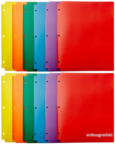 Amazon Basics dokumentfack, 8,5 x 11,12 delar, flerfärgad 192233052885