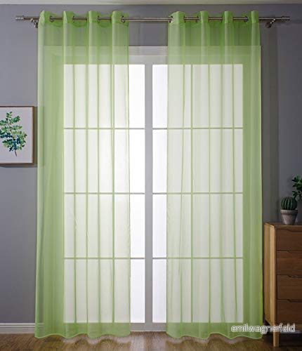 Gardinlåda 2 pack öglor Gardiner transparent draperi set vardagsrum voile Ösengardin blybandstängning, 100% polyester, äppelgrön, H x B 245 140 cm 4041984842183