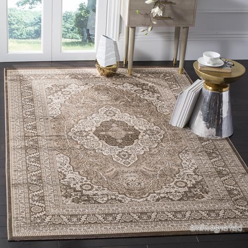 Safavieh Etta Vintage inspirerad matta, vävd mjuk viskosmatta i beige/ljusbrun, 154 x 228 cm 683726709466