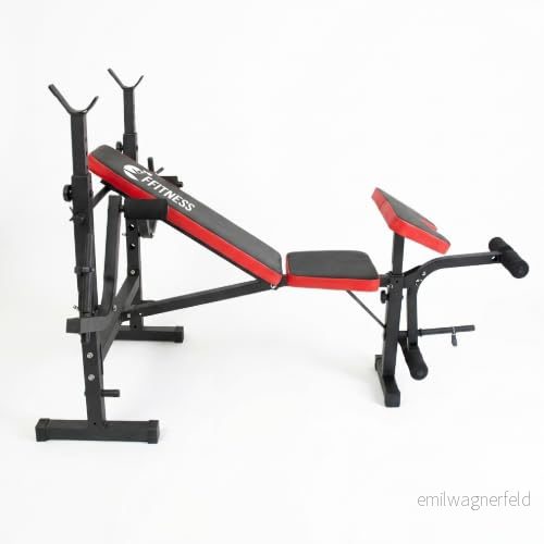 Multifunction Bänk Gym Hemma Buken Sector Skinkor Kalvar Dip Station FLMD758N 769322276417