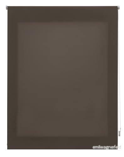 INTERBLIND premium genomskinlig, slät rullgardin, 120 x 175 cm (bredd och höjd) tygmått 117 170 genomskinlig rullgardin fönster 8434363564572