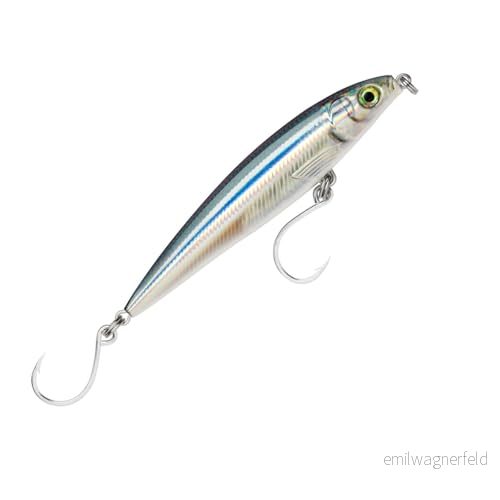 Rapala X Rap Long Cast Shallow fiskedrag havsfiskeutrustning snabb och aggressiv för köttätare simlärare 0,3 0,6m storlek 14 cm/53g tillverkad i Estland Anchovy 22677290584