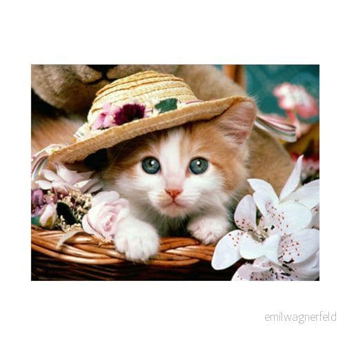 Pracht Creative hobby Diamond Painting set, bild med motiv katt hatt och tillbehör, pysselset för målning strass, barn från 5 år 4016490436027