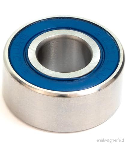 3001 LLU ABEC 3 dubbel rad (radial) 12 x 28 cm 810191011668
